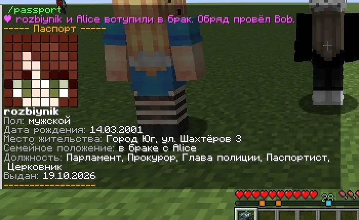 Паспорт в чате
