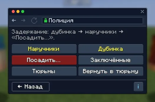 Полиция