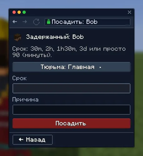 Арест: тюрьма, срок, причина