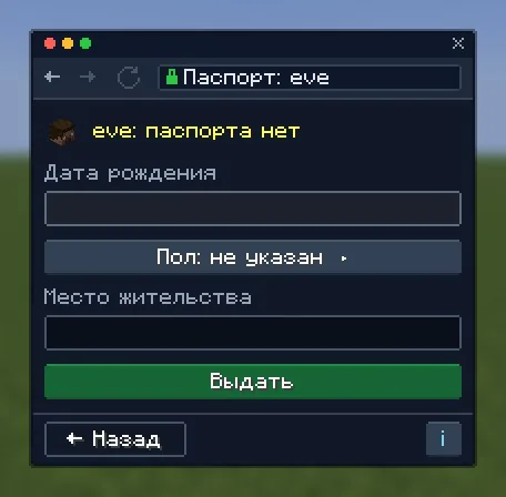 Паспорт игрока в паспортном столе